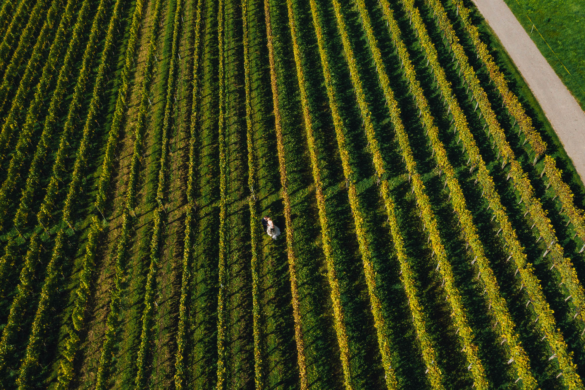 Export x3 DJI 0379 Hochzeit 2019 Lena & Chasper